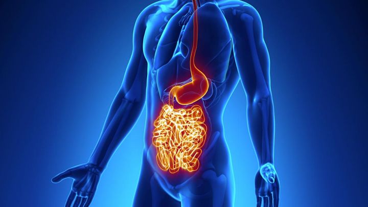 Inflammatory bowel disease/অন্ত্রের প্রদাহ কি? কারণ, লক্ষণ ও আয়ুর্বেদিক ঘরোয়া চিকিৎসা