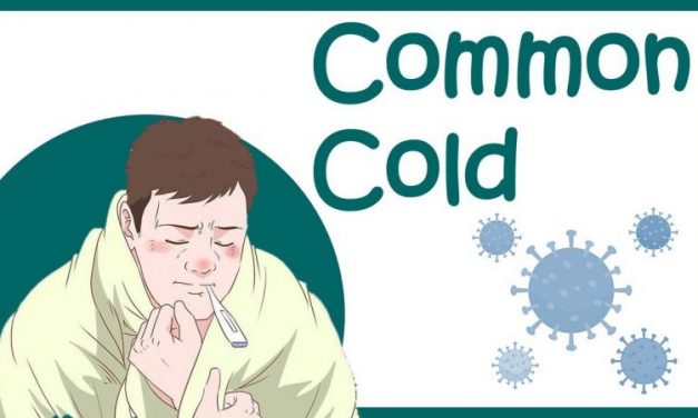 Common Cold’র কারণ, লক্ষণ ও আপদকালীন স্ব-সহায়িকা!